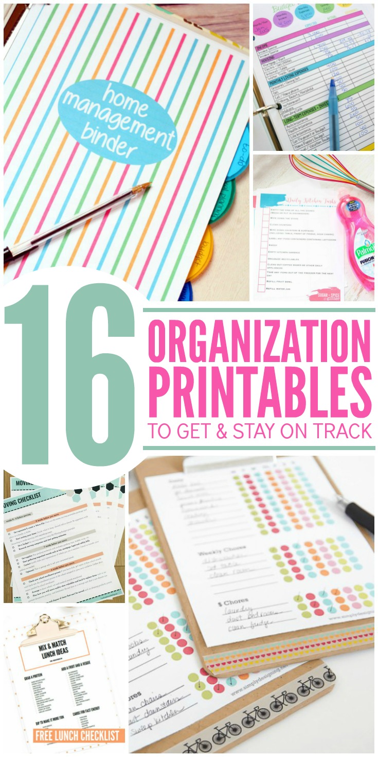 16 Organization Printables to Stay on Track This Year