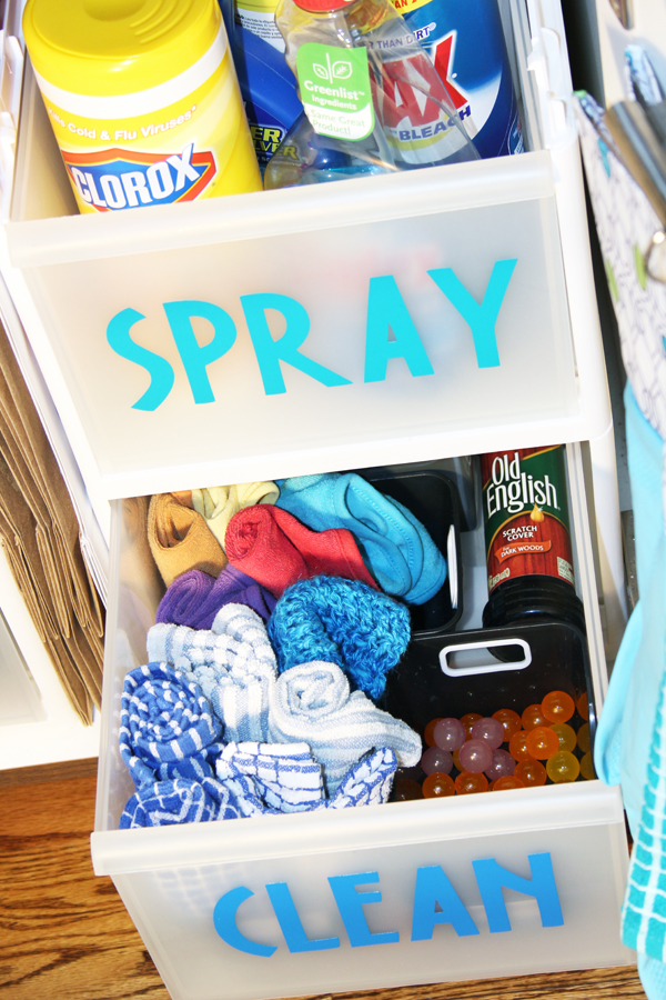 labeled bins for under sink storage