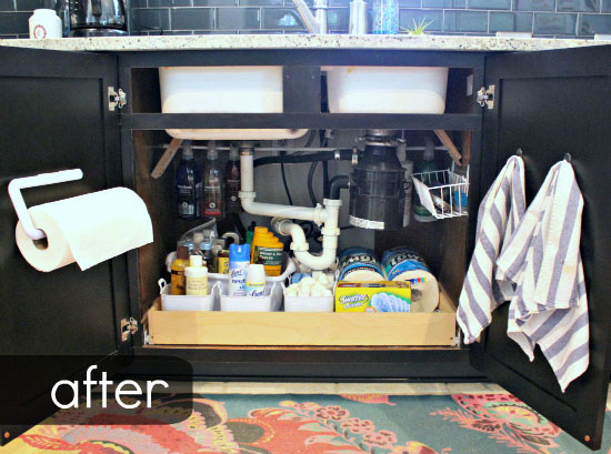 paper towel under sink storage