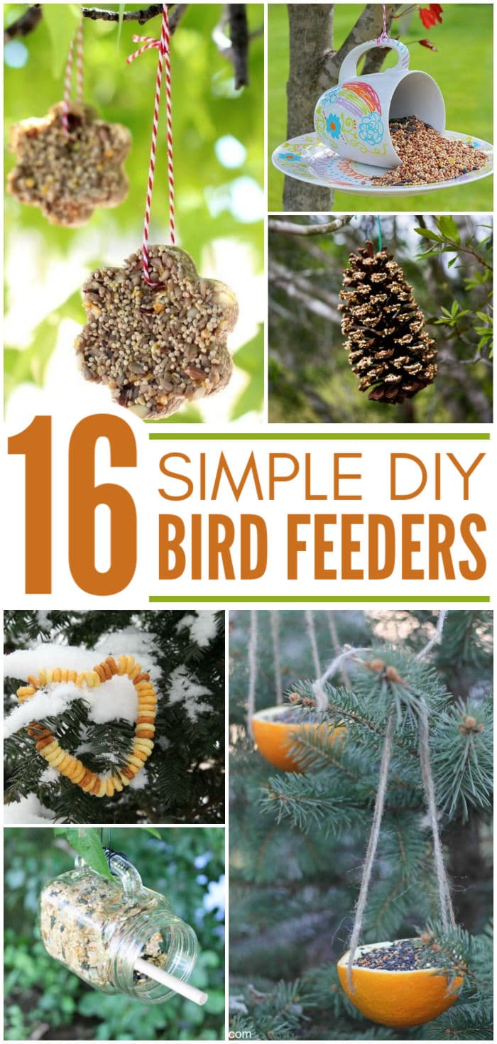 Do you love bird watching? Want to gather some feathered friends to your garden or yard? Make one of these DIY bird feeders today! We love the simplicity of #3!