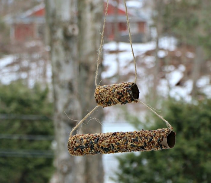 cardboard tube bird feeders