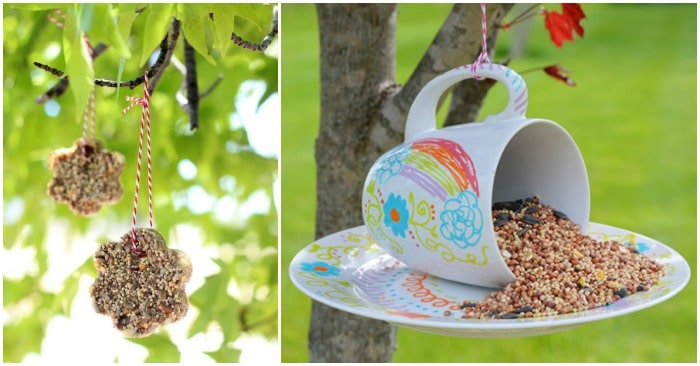 Simple DIY Bird Feeders To Attract Birds To Your Yard