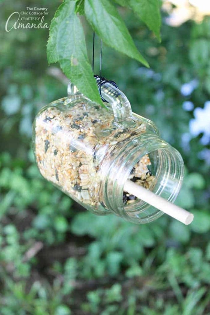 mason jar bird feeder with perch