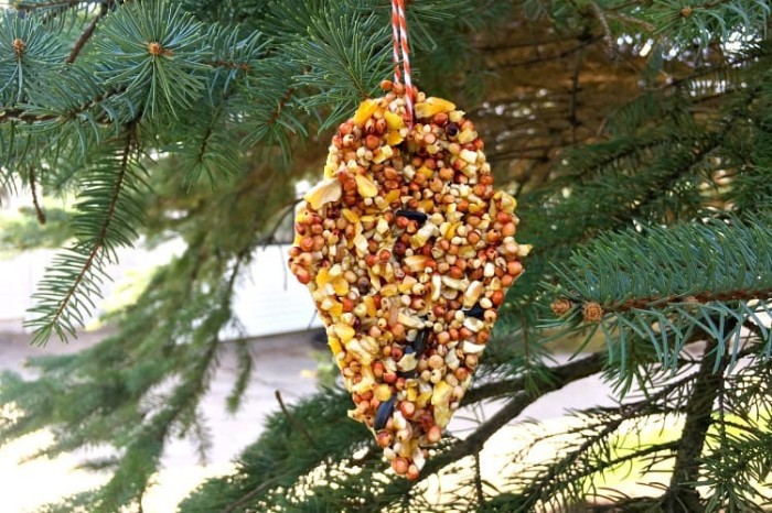 peanut butter free bird feeders