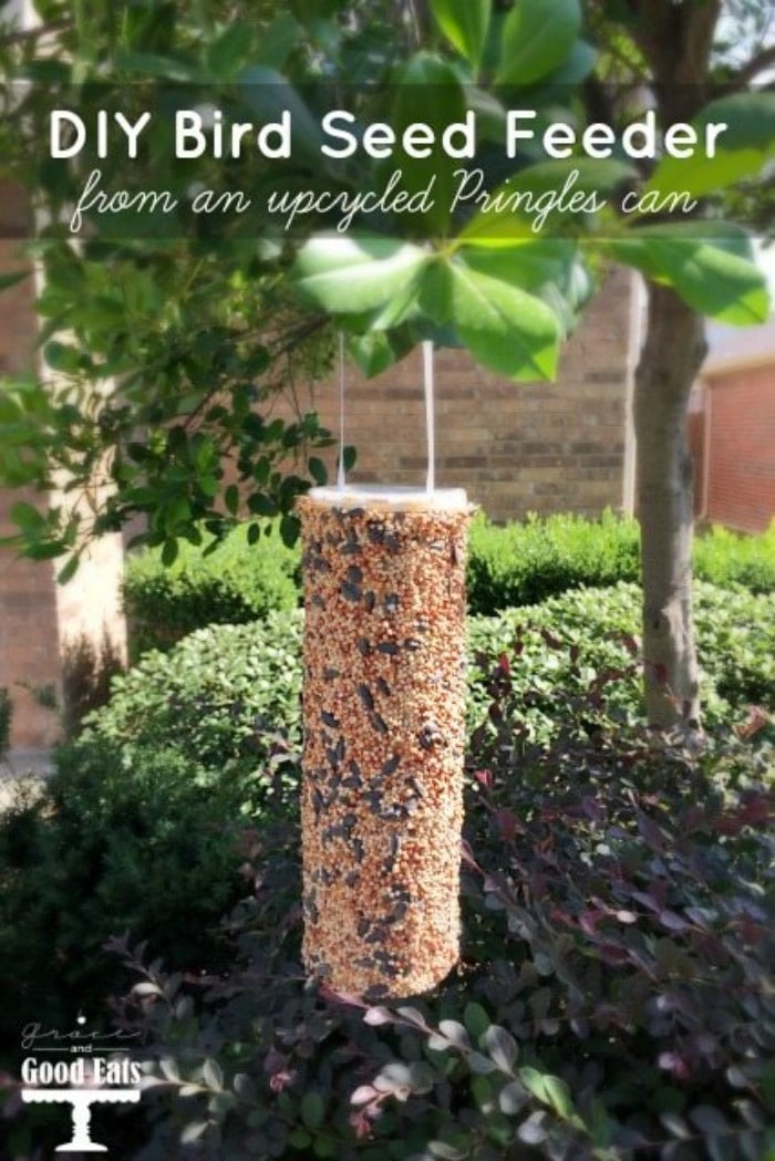 pringles can bird feeder