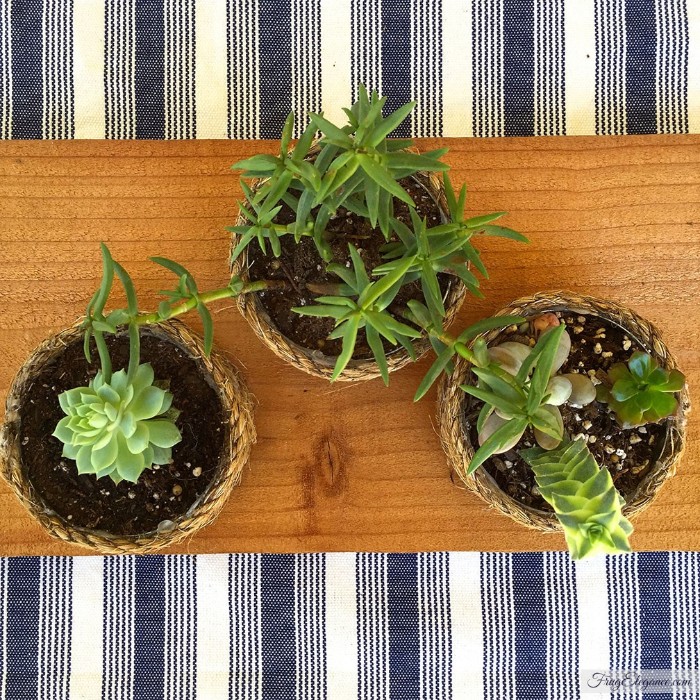 rope wrapped tin cans