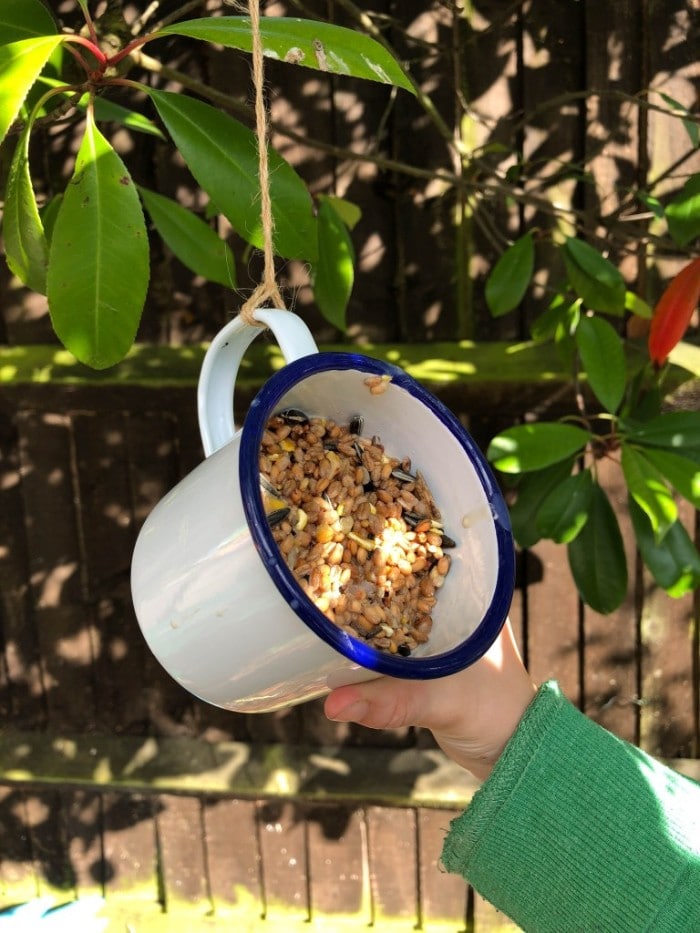 simple mug bird feeder