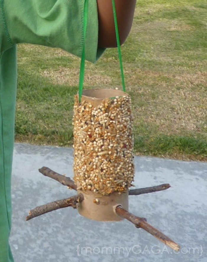 toilet roll bird feeders