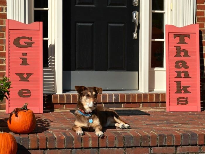 repurposed wood shutters