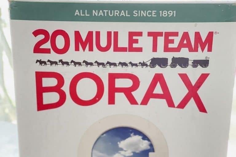15 Ways to Clean Your House With Borax