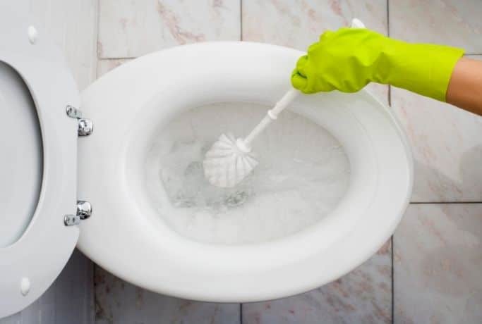 cleaning the toilet bowl